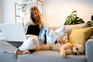 Hosting a Pet-Friendly Stay at Your Airbnb: Tips for Success